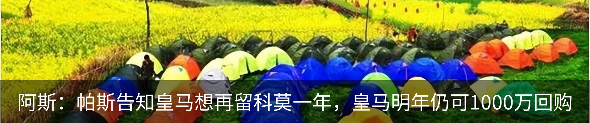 新闻动态